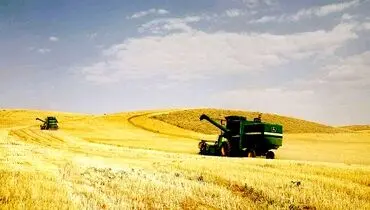 دلالان بازار را درو می‌کنند