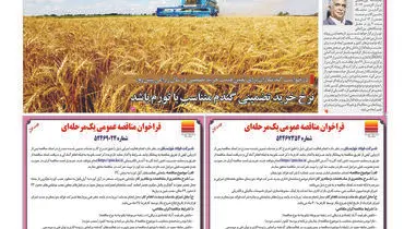 حبس کالا در انبارهای ارزان