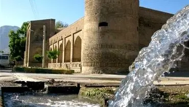 رفتن به میامی از نوع مشهدی