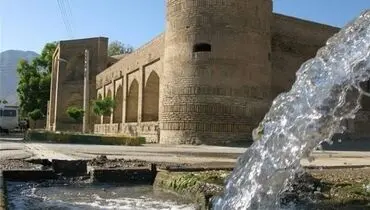 رفتن به میامی از نوع مشهدی