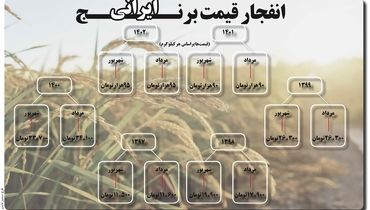 انفجار قیمت برنج ایرانی