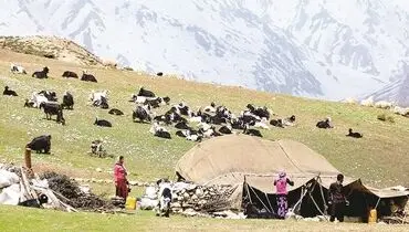 ایلات، طوایف و توزیع جغرافیایی