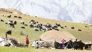 ایلات، طوایف و توزیع جغرافیایی