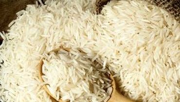 نقش موثر کنترل واردات بر رونق برنج ایرانی در بازار داخلی
