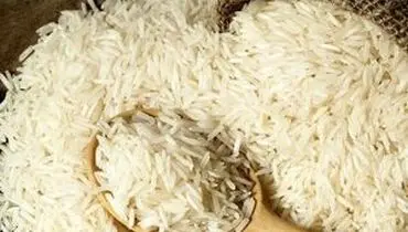 نقش موثر کنترل واردات بر رونق برنج ایرانی در بازار داخلی