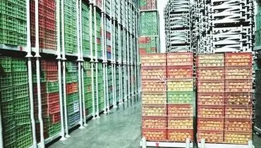 از نبود سردخانه‌ تا معطلی در گمرک