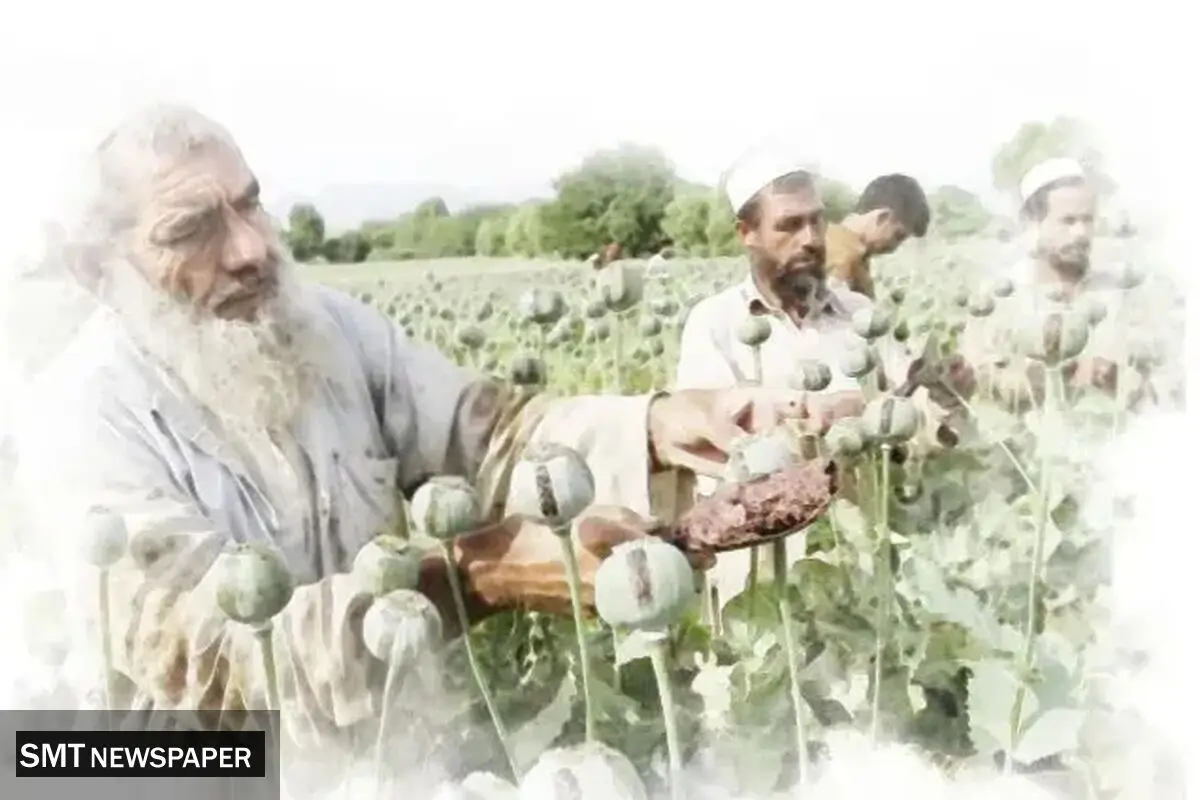 عزم ایران برای مقابله با تولید مواد در همسایه شرقی