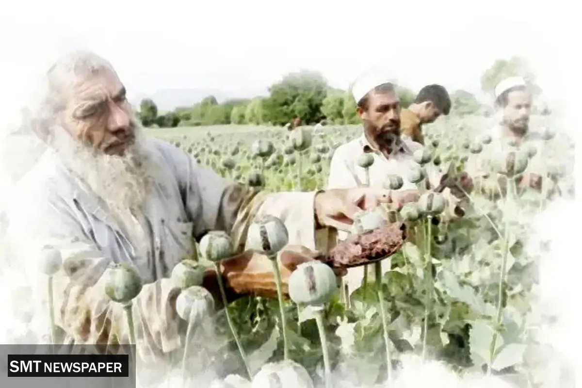 عزم ایران برای مقابله با تولید مواد در همسایه شرقی