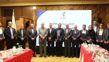 شعب برتر منطقه شش بانک سرمایه معرفی شدند