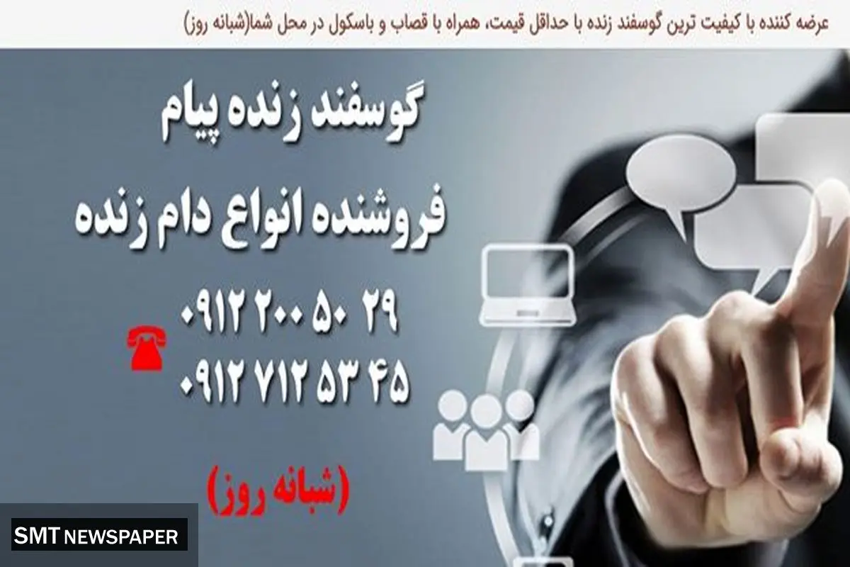 عرضه و فروش انواع گوسفند زنده در تهران با قیمت روز کشتارگاه
