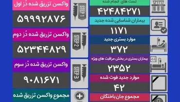 آمار مرگ و میر کرونا در شبانه روز گذشته (۱۵ دی)