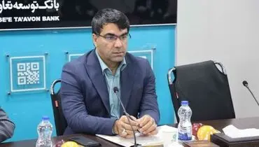تدابیر بانک توسعه تعاون برای اجرای مصوبات سفرهای استانی رییس جمهور