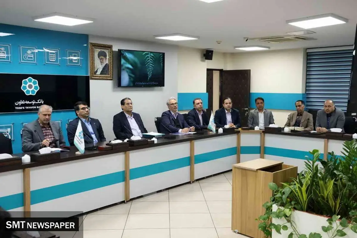 عملکرد موفق بانک توسعه تعاون در سال سخت شبکه بانکی