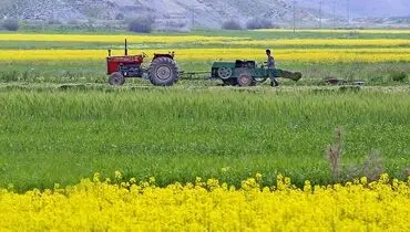 گامی در مسیر ارتقای بهره‌وری آب
