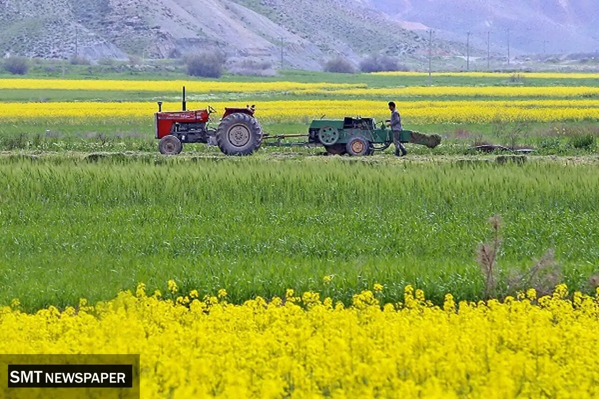 گامی در مسیر ارتقای بهره‌وری آب