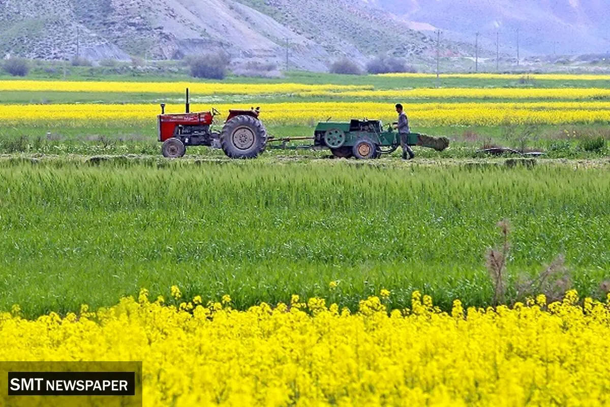 گامی در مسیر ارتقای بهرهوری آب