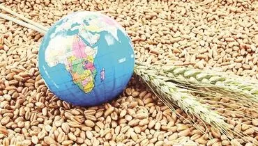 زنـگ خـطر امنـیت غذایی به صدا درآمد؟ 