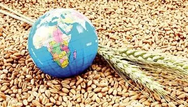 زنـگ خـطر امنـیت غذایی به صدا درآمد؟ 