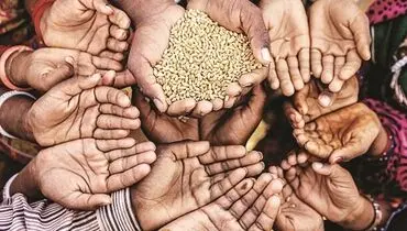 چاره‌جویی فناورانه برای تامین غذا