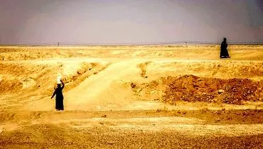 تراژدی مرگ مایه حیات
