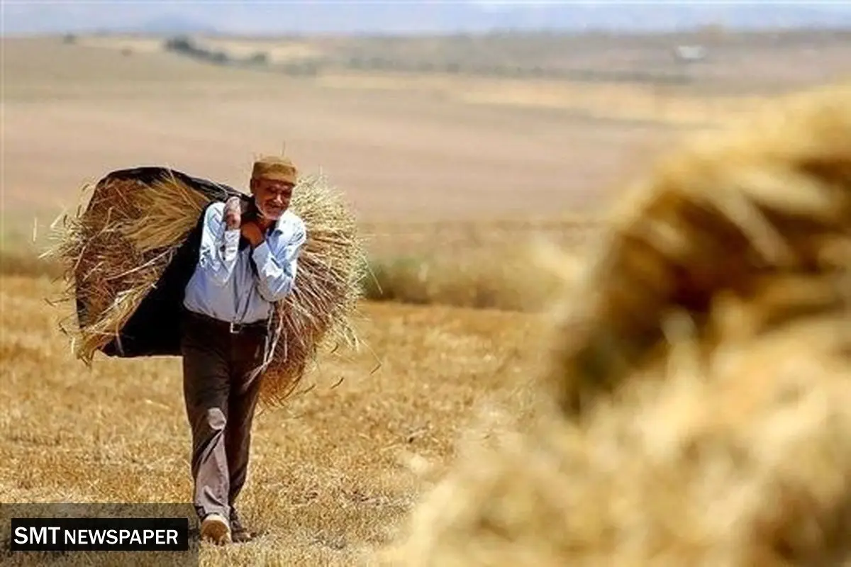 افت چشمگیر تولید بخش کشاورزی