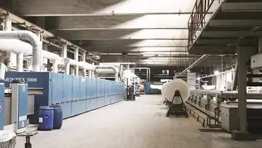 نمک بر زخم تولید مسکن