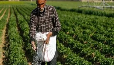 سال تلخ کشاورزان رقم خورد