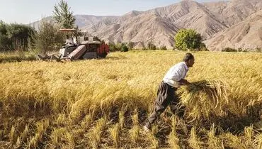 تحقق ۵۰ درصدی وعده‌های دولت