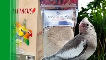 فروشگاه تهران طوطی مخصوص طوطی سانان