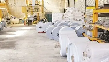 خودکفایی در تولید کاغذ؛ از رویا تا واقعیت