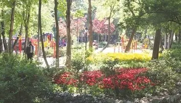 آجر به‌جای درخت
