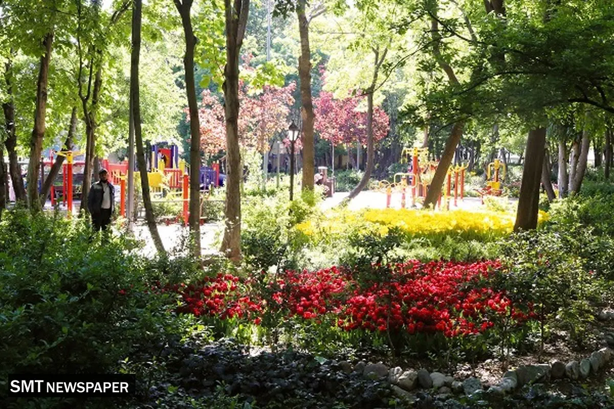 آجر بهجای درخت
