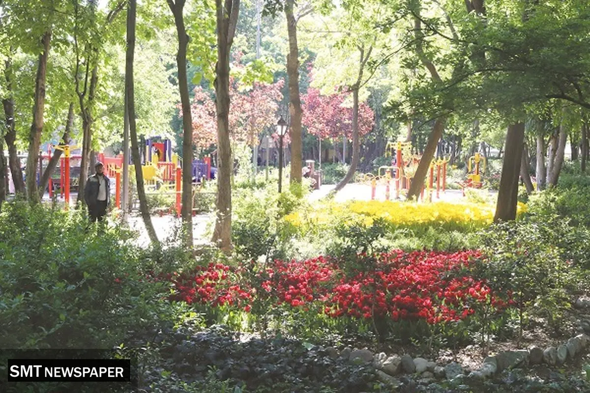 آجر به‌جای درخت