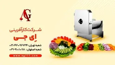 دستگاه اسلایسر یک دستگاه ضروری برای مشاغل خانگی