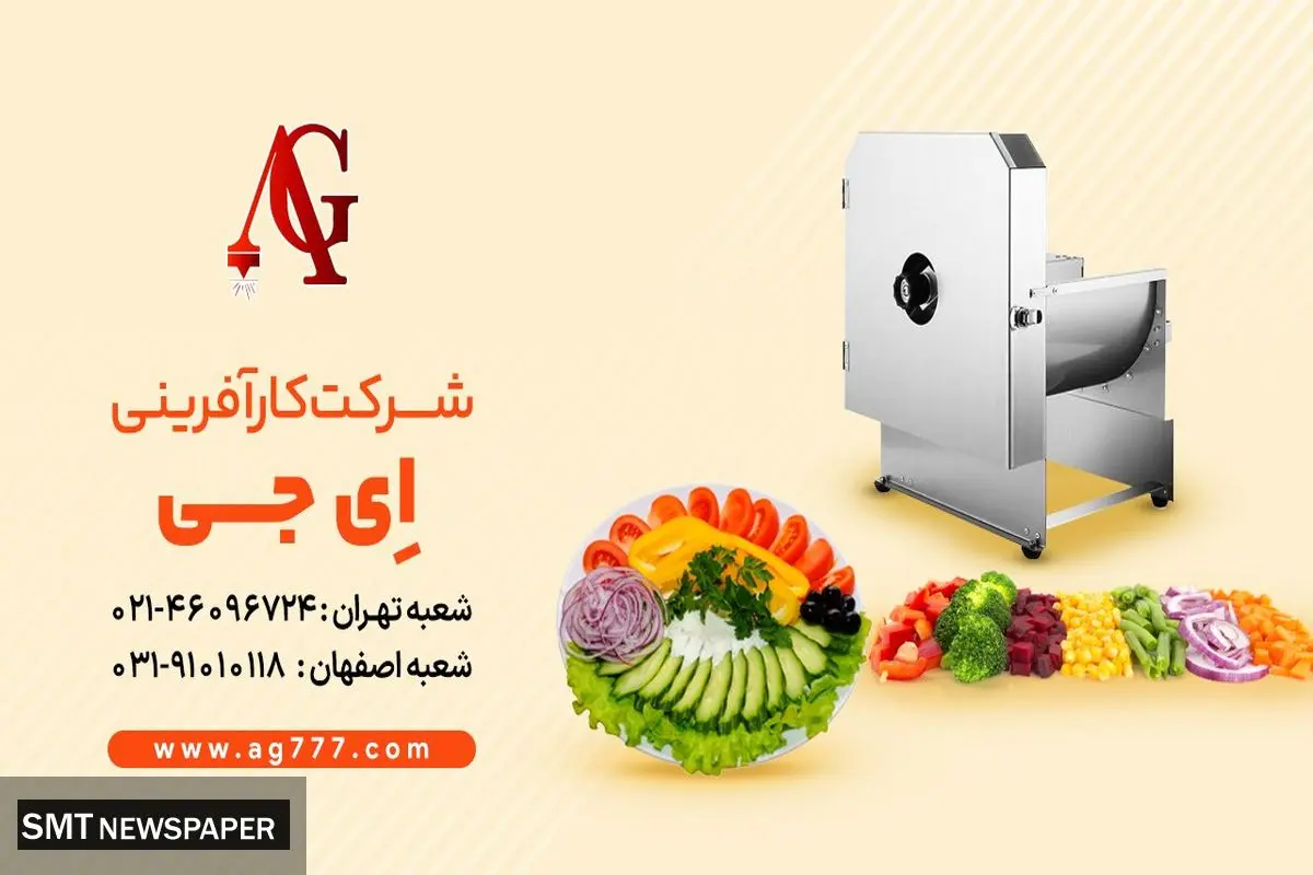 دستگاه اسلایسر یک دستگاه ضروری برای مشاغل خانگی