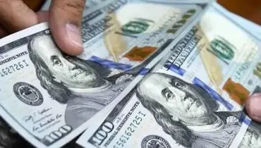 گزارش عصر اقتصاد از دو دیدگاه متفاوت درباره آینده دلار در زمستان؛ فصل داغ دلار