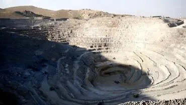 کوچ به‌وقت ثمردهی
