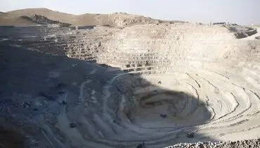 کوچ به‌وقت ثمردهی