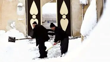 جای خالی علم در شبکه گازی کشور