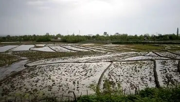 «آب» اجازه توسعه را نمی‌دهد