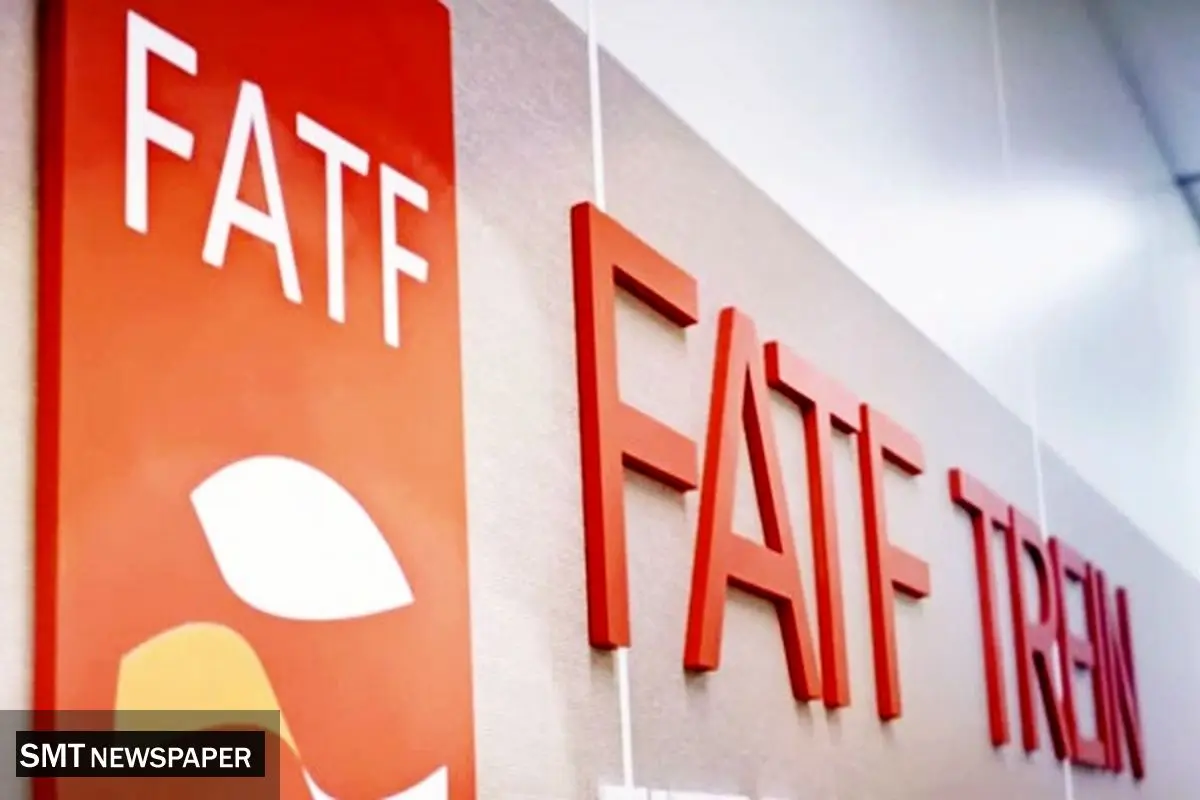 سیاسیکاری در پرونده FATF