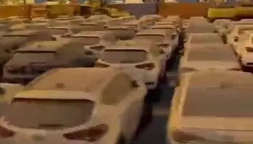 خودروهای وارداتی زیر خروارها خاک در گمرک / فیلم جدید