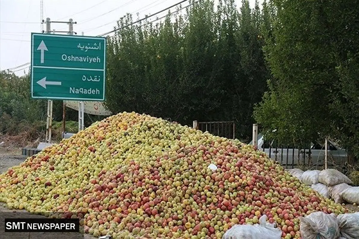 سود دلالی، سد راه ساماندهی