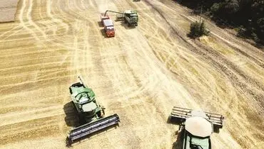 افزایش افسارگسیخته نرخ غلات و روغن