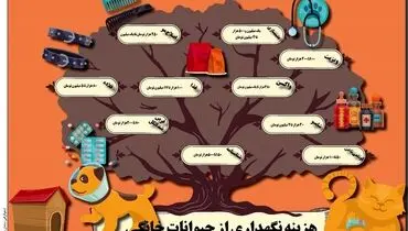 هزینه نگهداری از حیوانات خانگی
