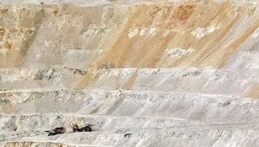 نگاه تخصصی توسعه می‌آورد