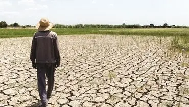 ردپای خشکسالی در مزارع گندم