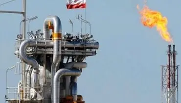 محمدی: خام فروشی صنعت پتروشیمی نتیجه سودهای هنگفت است/ زنجیره ارزش نیازمند نگاه همه جانبه دولت