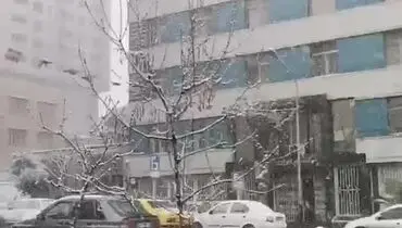 فیلمی از بارش شدید برف در پایتخت 
