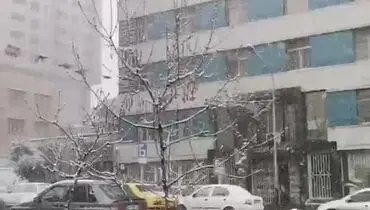 فیلمی از بارش شدید برف در پایتخت 